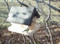 Vogelfutterhäuschen